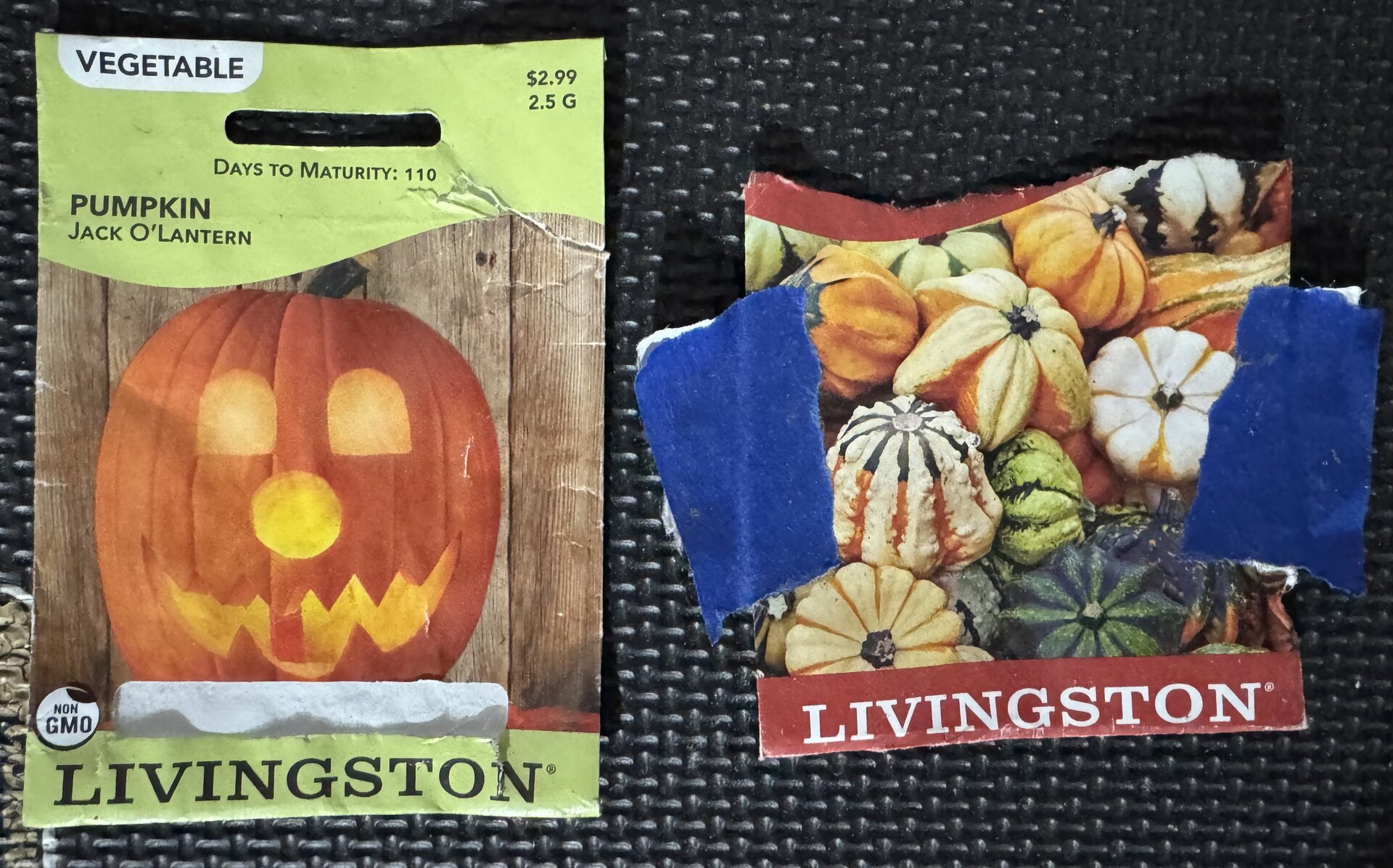Assortment of pumpkin and gourd seed packets ready for late season planting