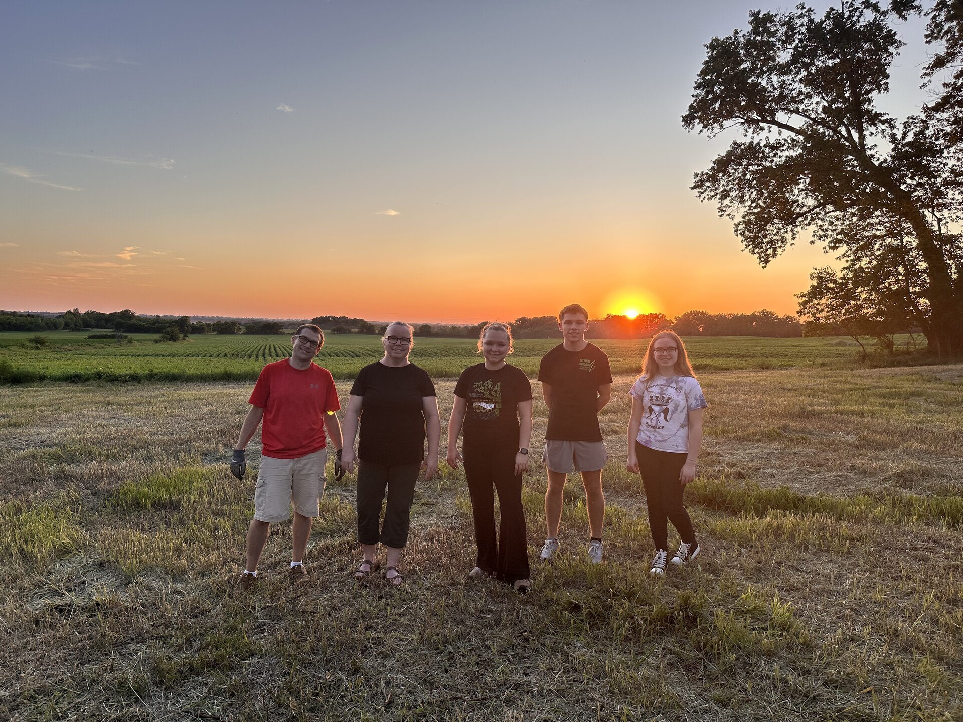 Freshly planted pumpkin seedlings in newly tilled soil rows