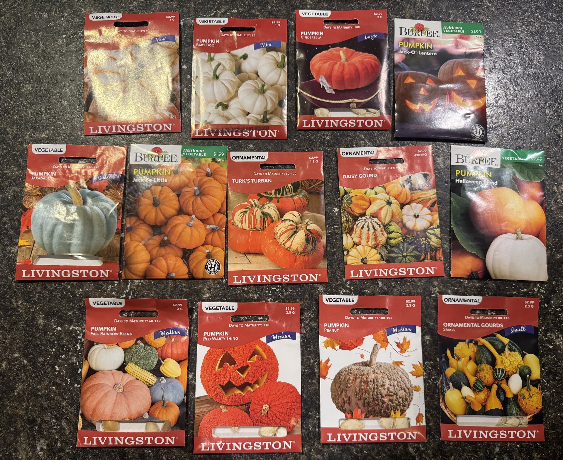 Collection of pumpkin and gourd seed packets from Livingston and Burpee including mini pumpkins, white pumpkins, Jack-O'-Lanterns, and specialty varieties