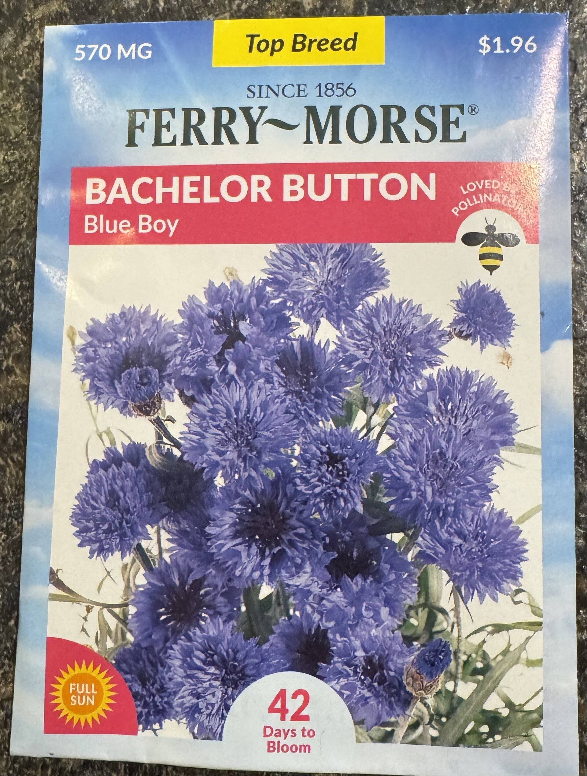 Bachelor Button 'Blue Boy' seed packet displaying vibrant blue cornflower blooms on the front label